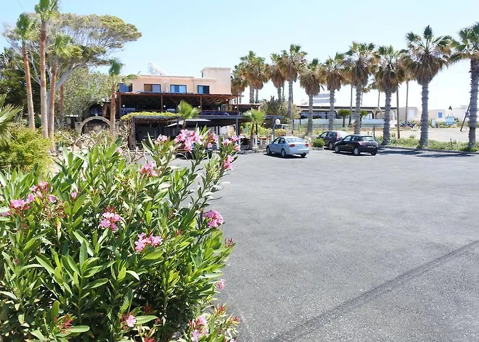 Kissonerga Lägenhet Paphos